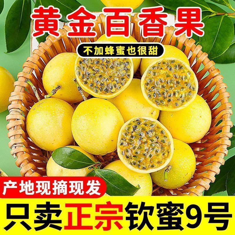 【香甜】钦蜜9号黄金百香果新鲜正宗应当季孕妇黄皮水果