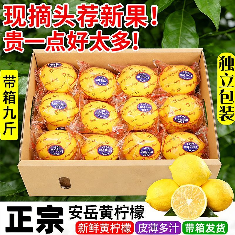 四川安岳黄柠檬批发带箱5斤9斤商用新鲜柠檬奶茶店商用水果非无籽