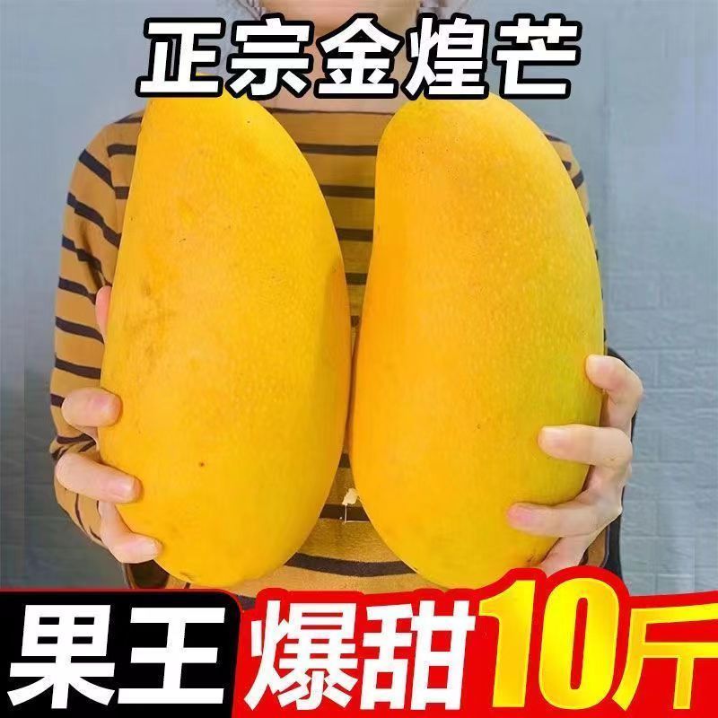 广西金煌芒当季新鲜便宜水果应季水仙芒大青芒果奶茶店批发一整箱