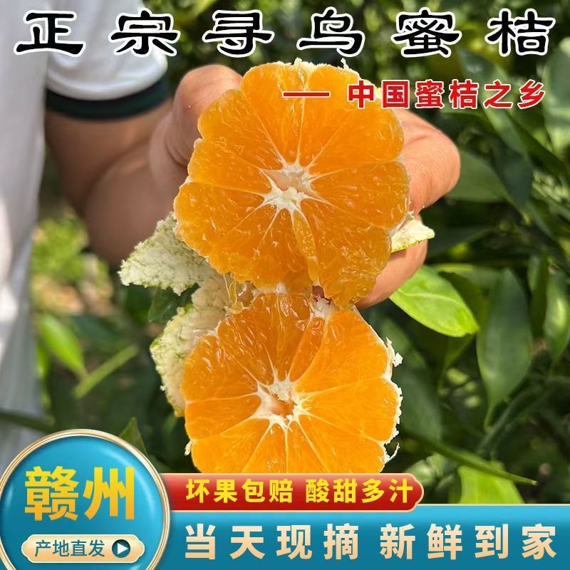 正宗江西赣南寻乌蜜桔青皮橘子酸甜无籽桔子新鲜孕妇水果5斤彩箱