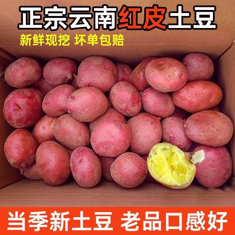 正宗云南红皮土豆26年新鲜超粉糯软糯沙面黄心洋芋马铃薯蔬菜批发