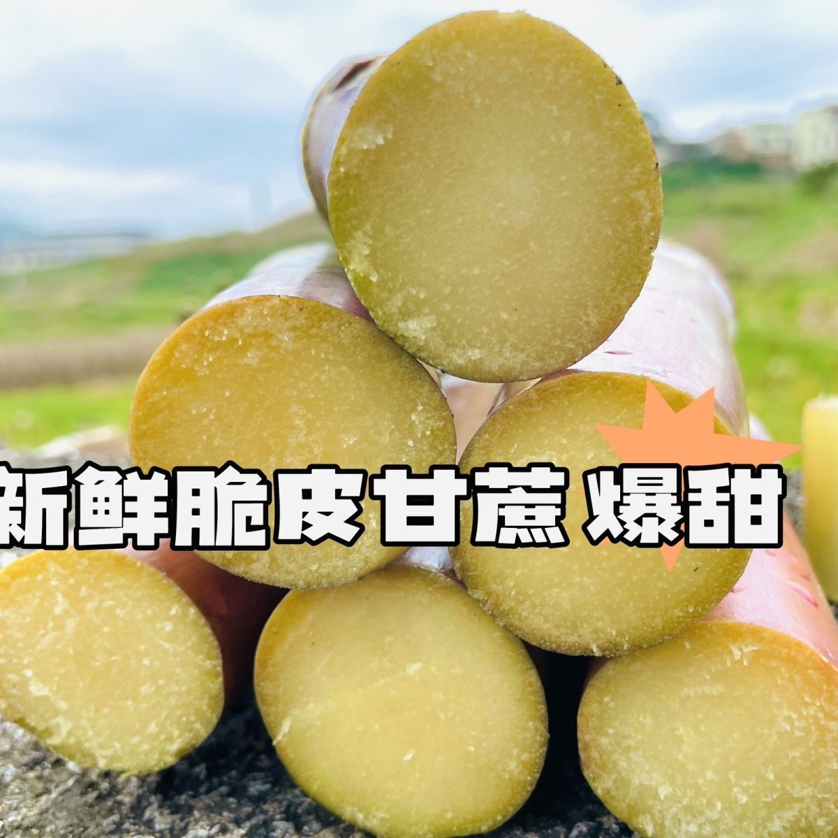 七彩云南脆皮红皮甘蔗新鲜水果现砍应季批发当季整箱脆甜孕妇多汁