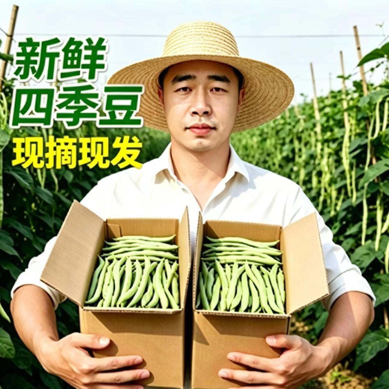 【便宜甩卖】云南高山四季豆农家当季优质新鲜现摘时令蔬菜整箱