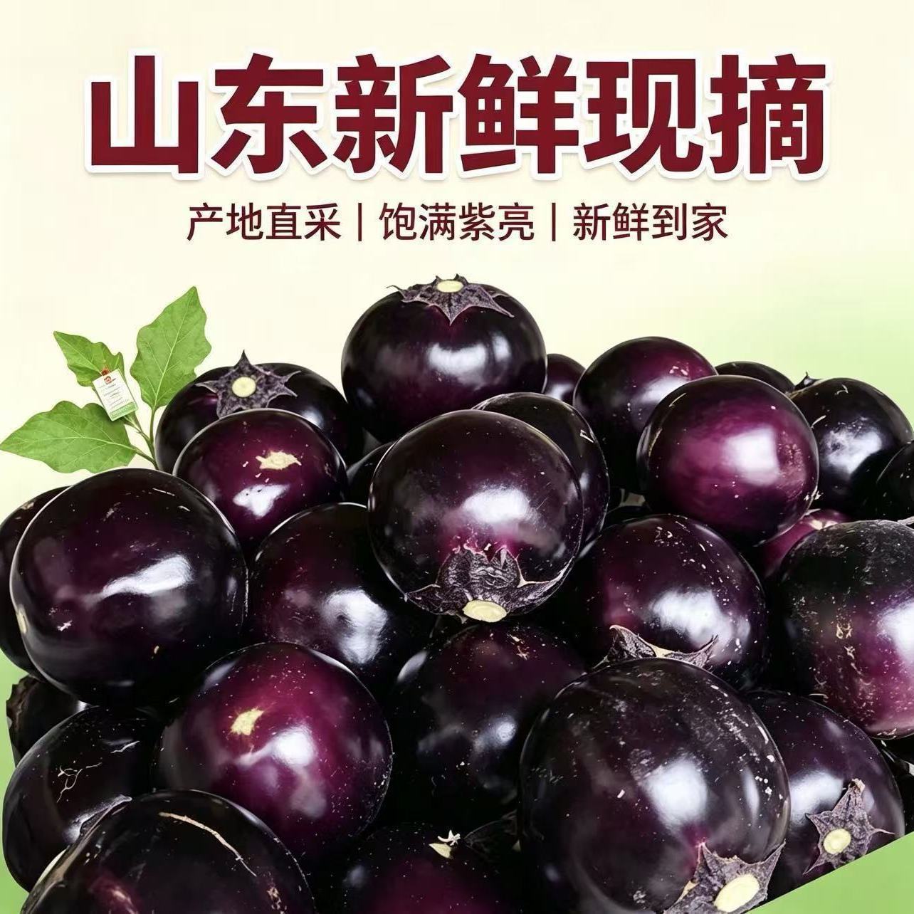 新鲜圆茄子现摘应季蔬菜山东农家自种鲜嫩紫黑茄子整箱包邮