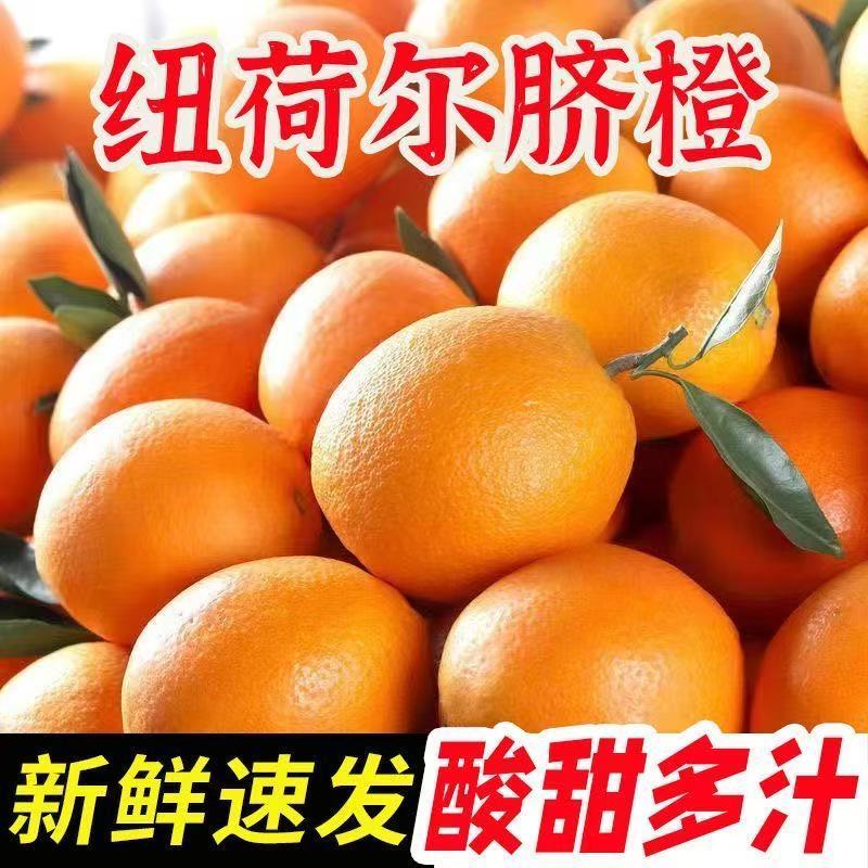 5斤宜昌纽荷尔脐橙当季橙子新鲜摘水果大果香甜多汁批发