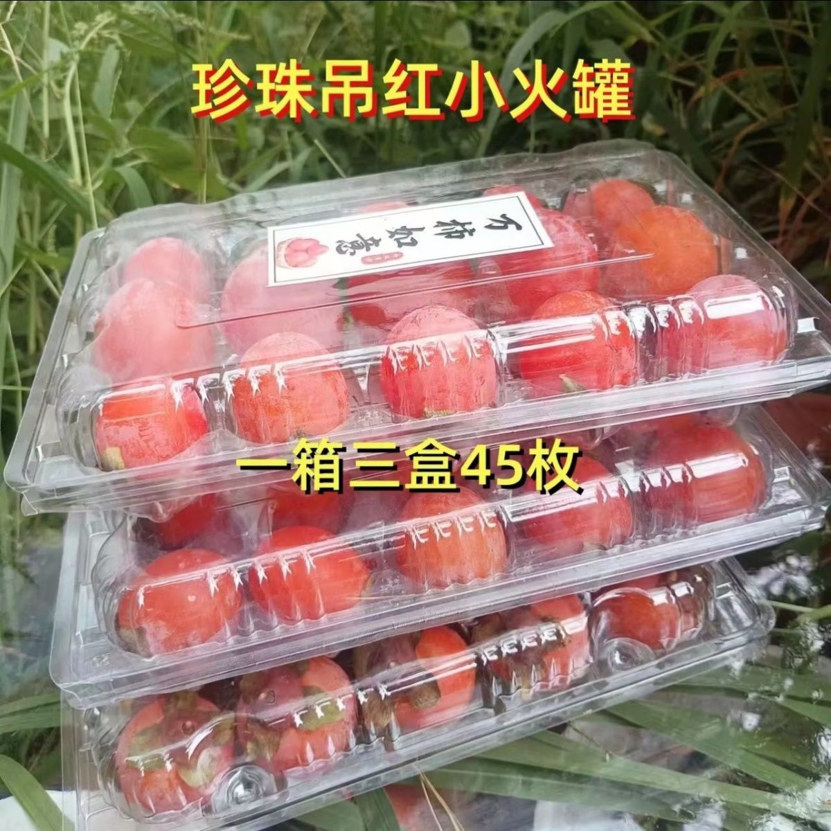 珍珠吊红迷你流心柿子爆甜老树流心蜜柿火晶柿子新鲜水果无核
