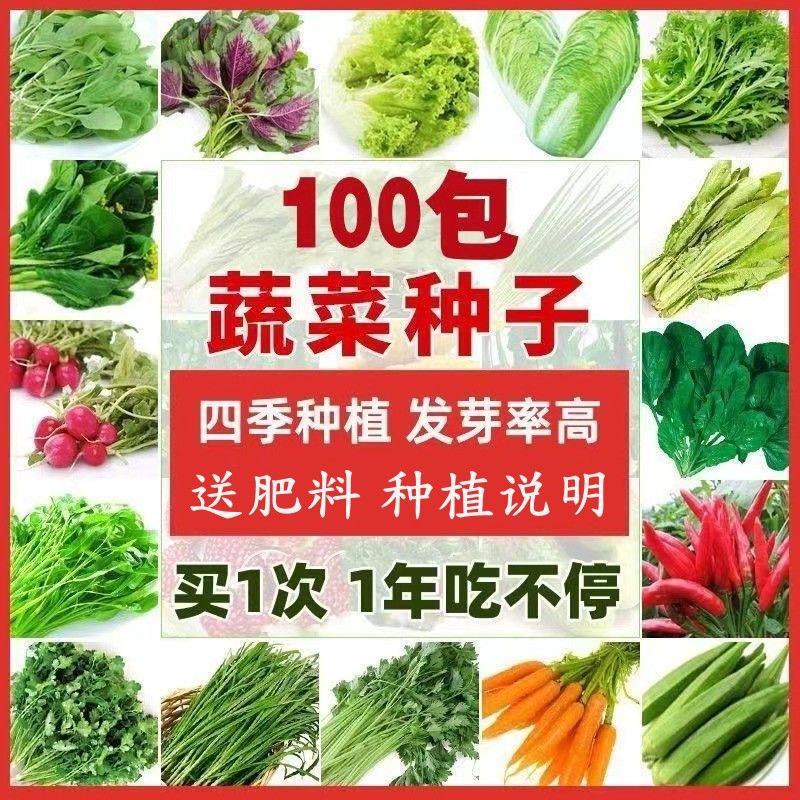 多款蔬菜种子四季易种套餐阳台菜园鸡毛菜生菜小葱黄瓜韭菜种籽