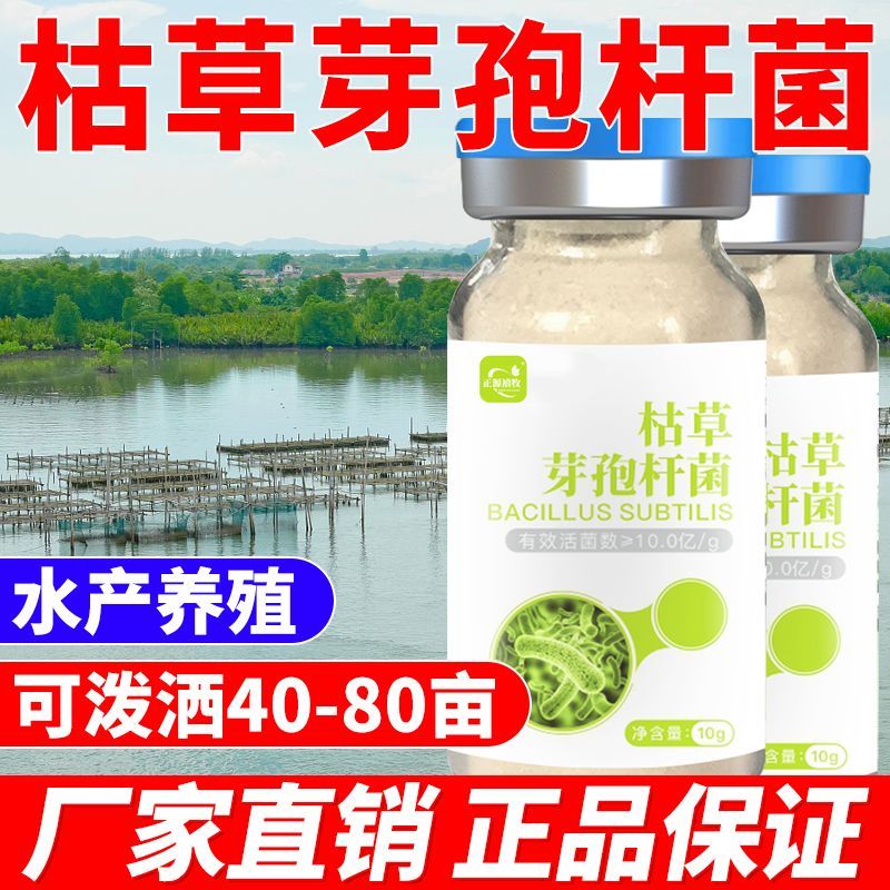 水产枯草芽孢杆菌原粉净化水质鱼虾蟹塘净水调水青苔蓝藻益生菌种