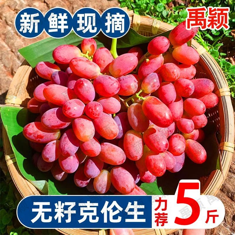 新鲜克伦生红提子葡萄脆甜无籽红提当季水果批*发价一整箱包邮