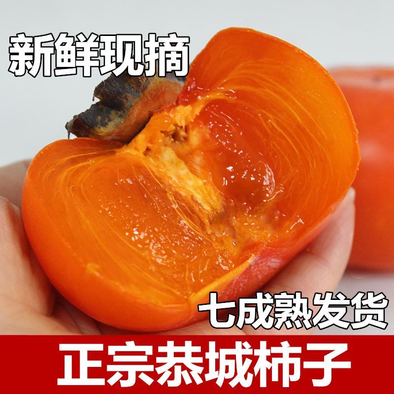 广西红柿子甜柿子水果新鲜当季整箱批发软柿子3/5/10斤非火晶柿子