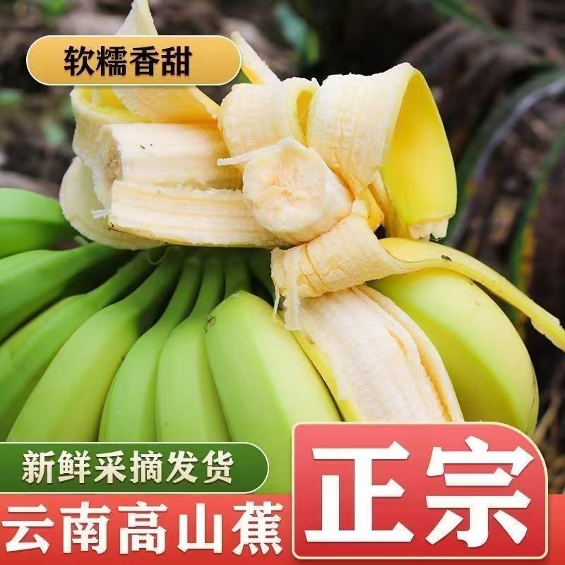 【超实惠】云南高山当季正宗青皮香蕉甜糯新鲜薄皮水果纯天然整箱