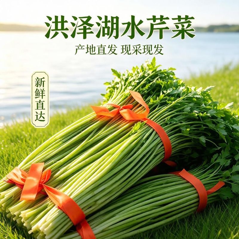 江苏水芹才结果蔬菜水芹芹菜当季新鲜苏北农家自种现摘现发野生