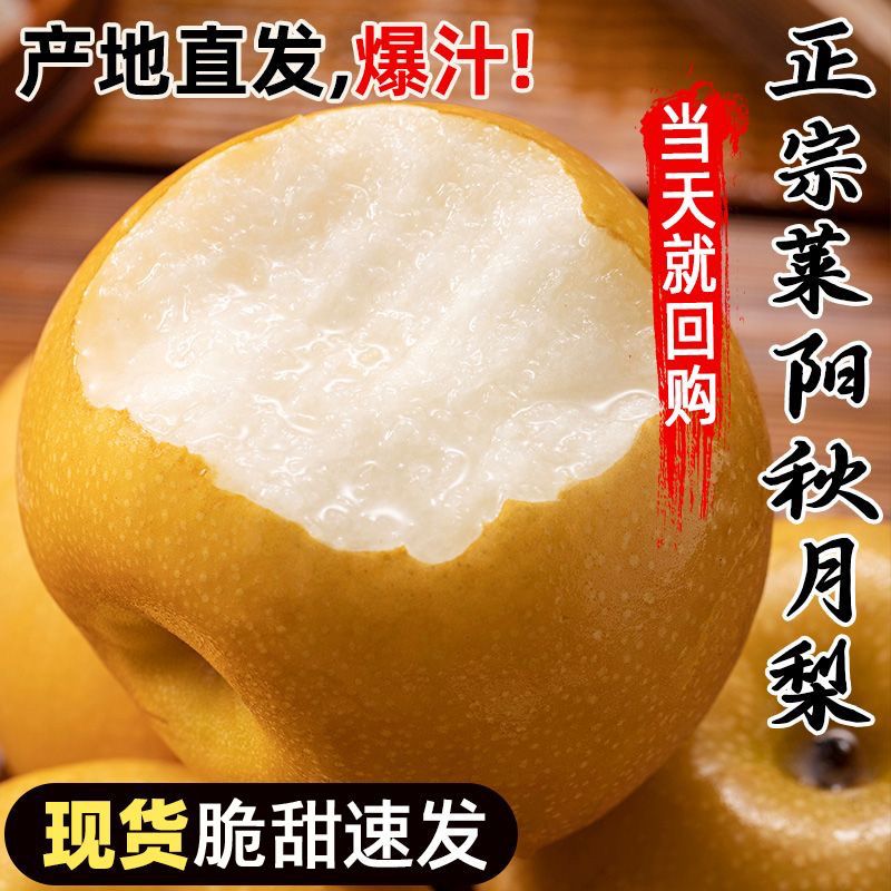 2026年【正宗莱阳秋月梨】梨子冰糖雪梨新鲜水果应季甜梨批发