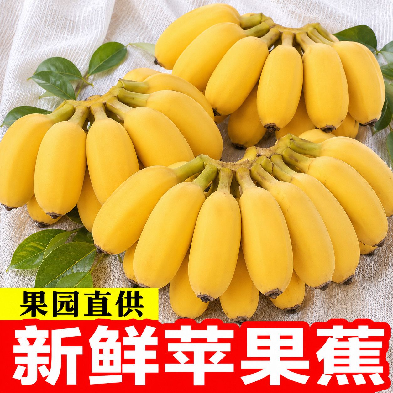 【超值特惠】正宗苹果粉蕉广东香蕉新鲜当季水果整箱孕妇宝宝辅食