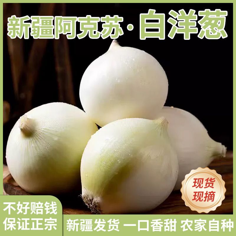 新疆水果白洋葱皮牙子特产自种新鲜蔬菜批发凉拌多汁葱头产地直发