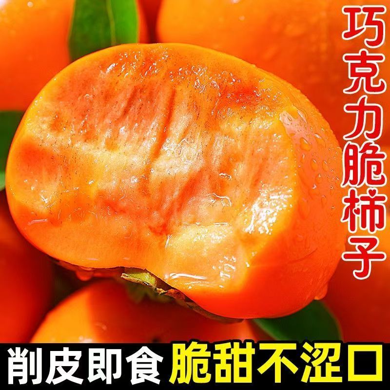 【彩箱】正宗阳丰脆柿礼盒装新鲜现摘巧克力脆柿子冰糖心脆甜不涩