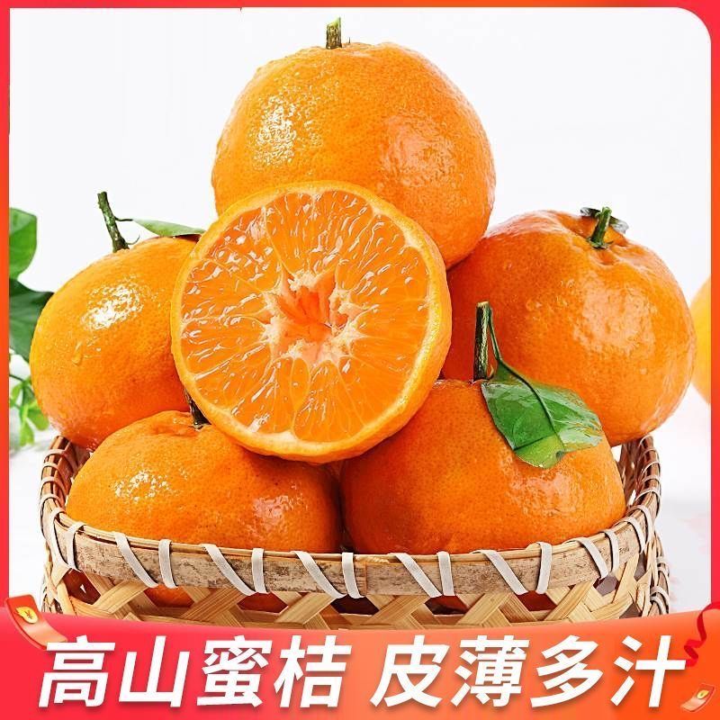 薄皮湖北蜜橘蜜桔新鲜水果黄皮橘子桔子时令无籽酸甜当季柑橘孕妇