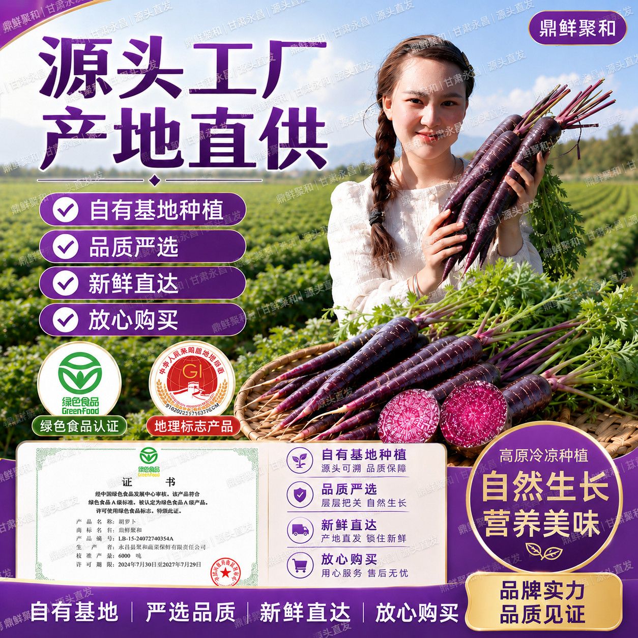 永昌水果胡萝卜花青素紫萝卜新鲜蔬菜胡萝卜宝宝辅食批发包邮