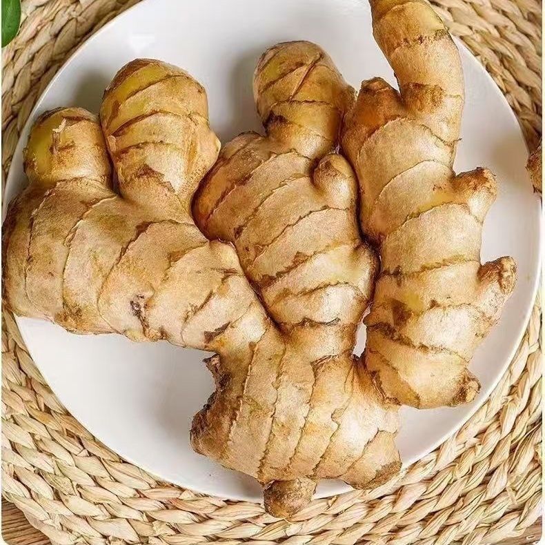 水洗风干小黄姜无泥新鲜云南小黄姜老姜新鲜大个无泥晾干整箱批发