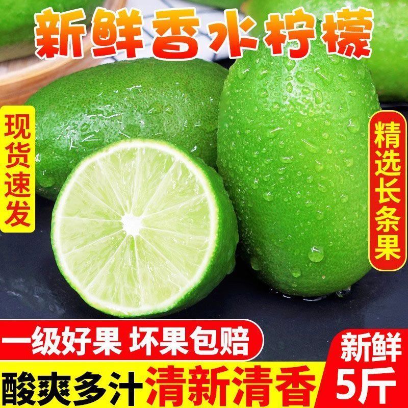 正宗海南无籽香水柠檬新鲜应季水果奶茶店专用直发新鲜柠檬