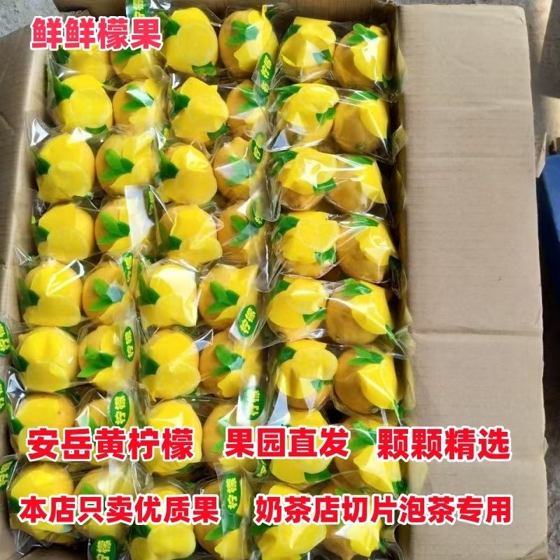 双胞胎黄柠檬安岳尤力克黄柠檬酸味十足果农直发精选商用整箱批发