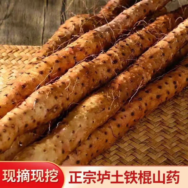 河南焦作2026头茬现挖垆土铁棍怀山葯农家干香面甜新鲜正品直发