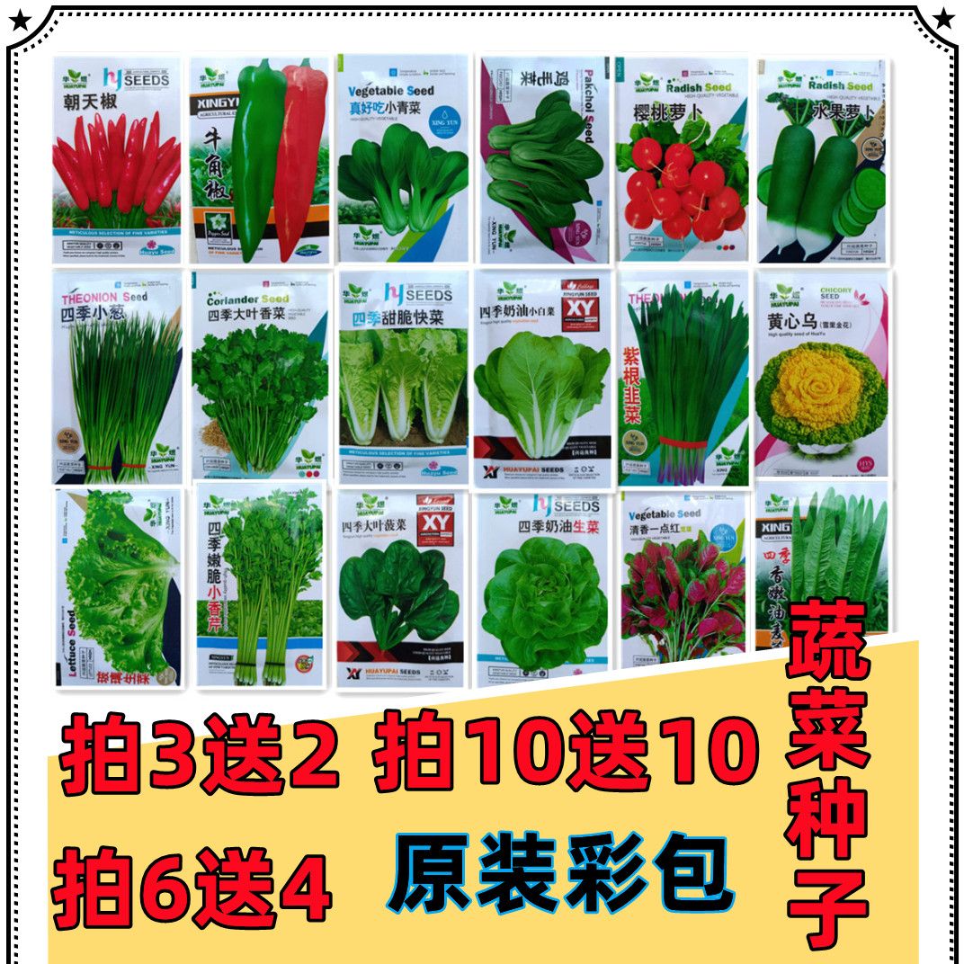 四季蔬菜种子大全阳台蔬菜种子种植蔬菜组合装菠菜生菜小白菜种子