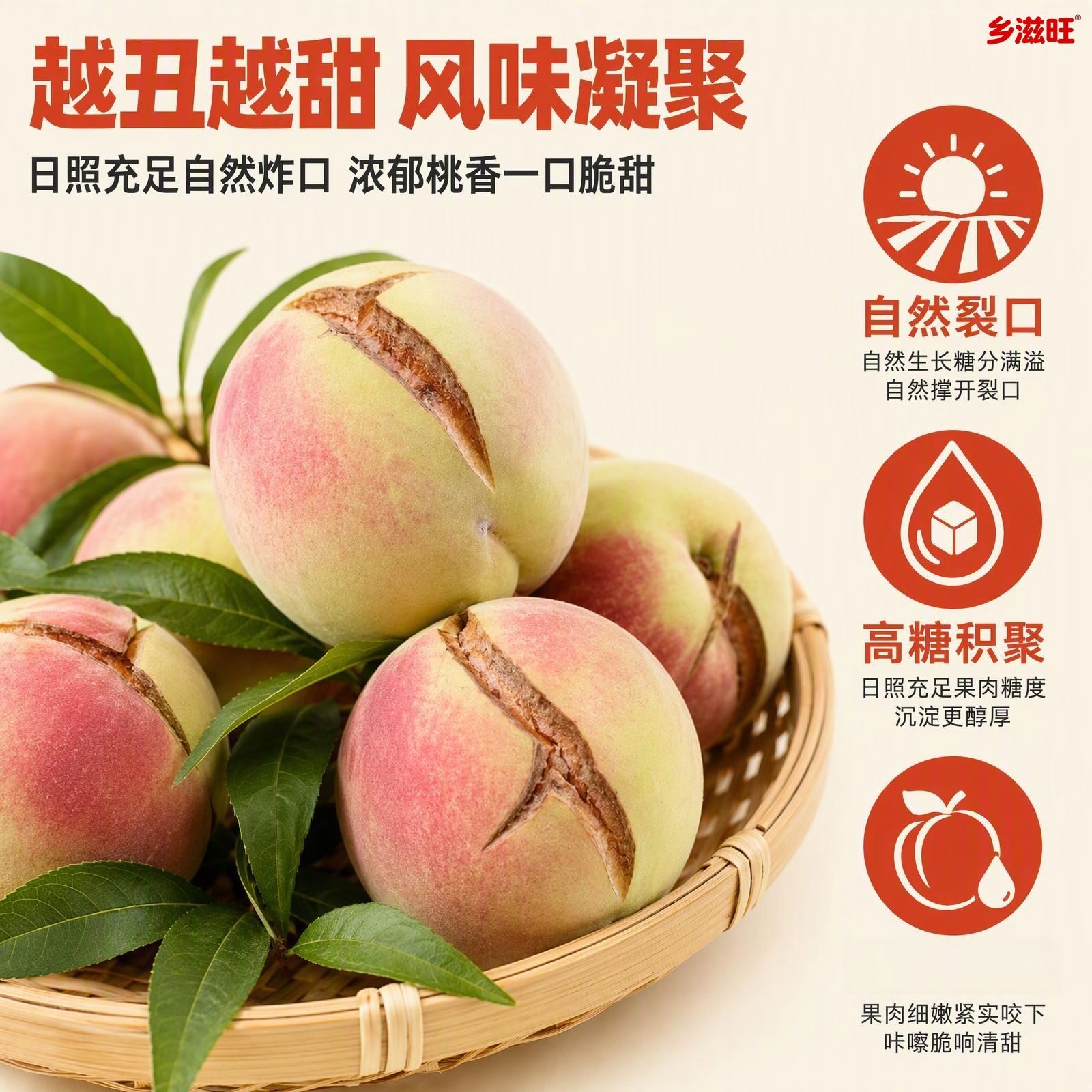 山东沂蒙山笑口桃冬桃脆甜青皮正宗脆桃新鲜桃子毛桃当季冬桃水果