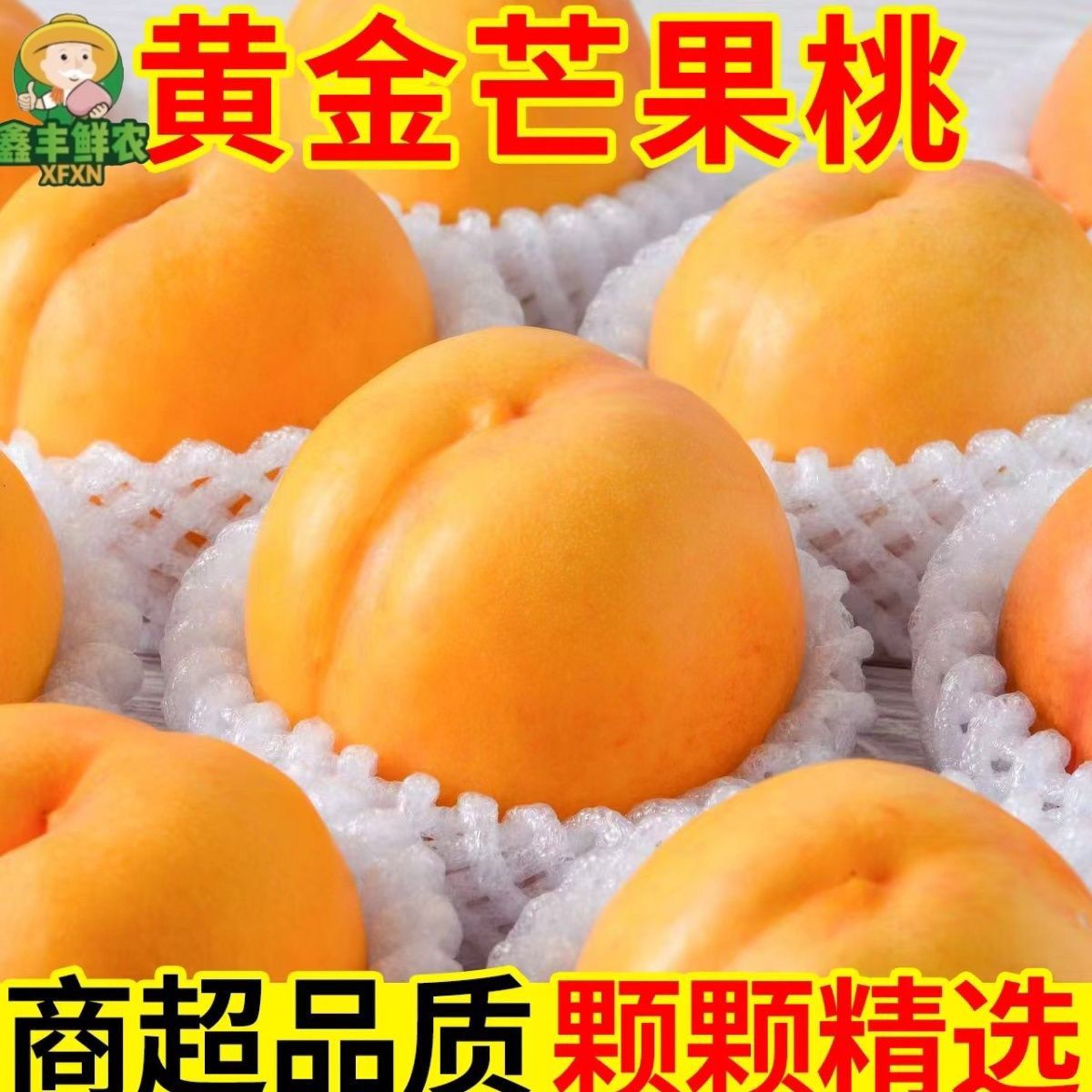 应季黄金芒果桃子新鲜黄油桃脆甜特大黄金黄桃新鲜采摘大果包邮