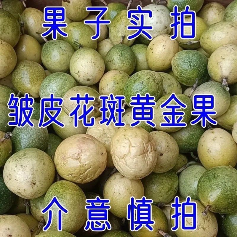 批发正宗钦蜜9号百香果皱皮花皮果瑕疵果水果奶茶现挖果酱鲜果