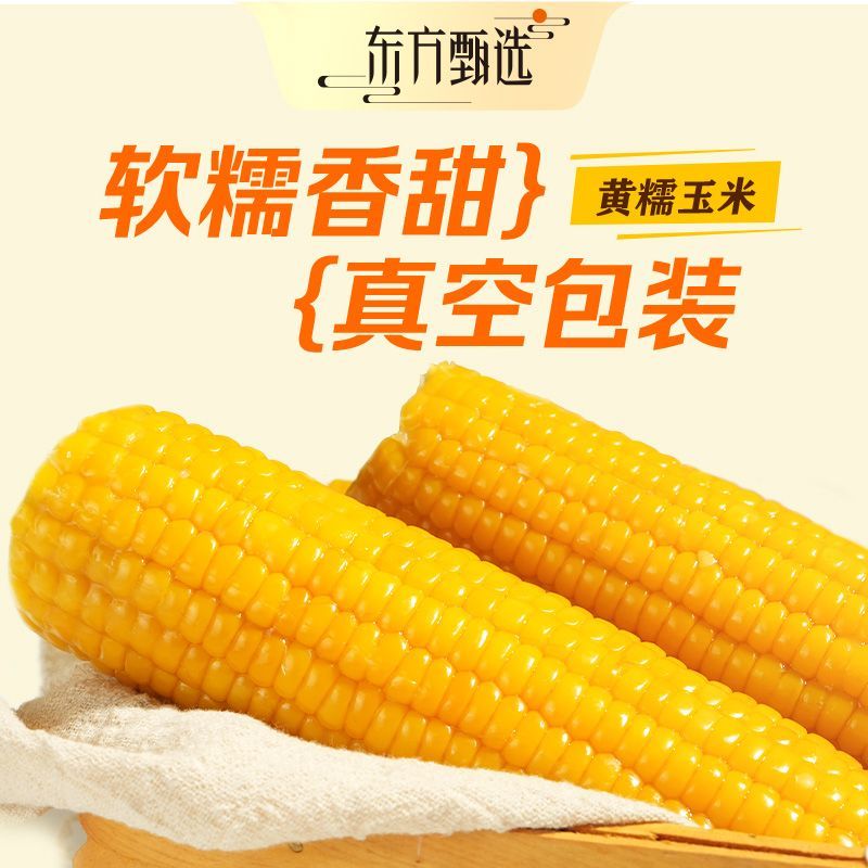 【东方甄选】黄糯玉米8根软糯香甜真空早餐粗粮非即食