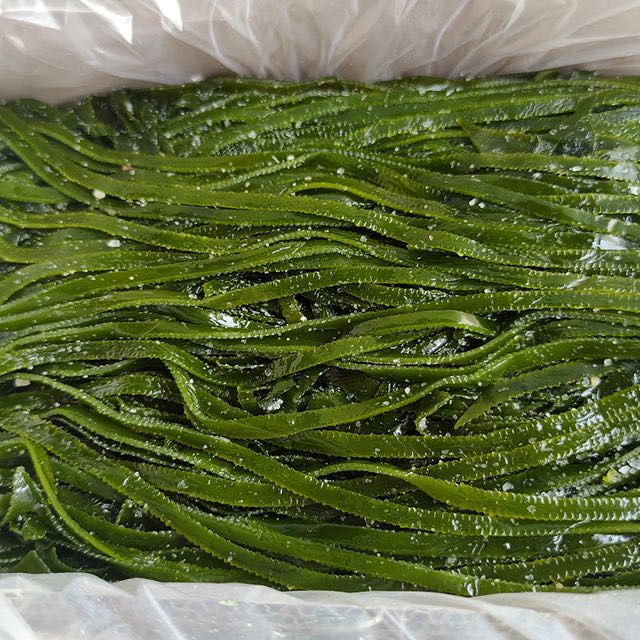 盐渍超厚海带丝5斤2斤当季新货商用批发整箱非干货新鲜凉拌海藻丝