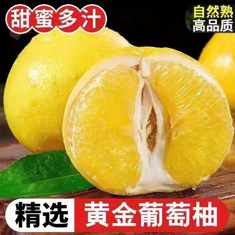 黄金葡萄柚新鲜水果福建平和柚子水果礼盒装台湾品种甜西柚应季
