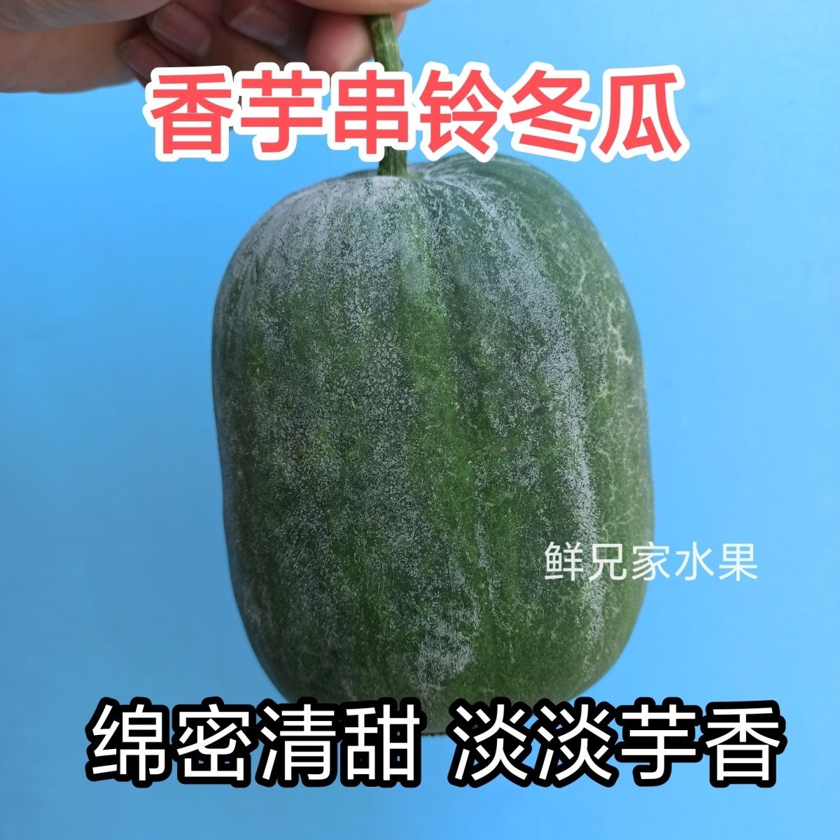 广西芋香串铃冬瓜新鲜冬瓜南宁迷你水果农家香芋瓜煲汤小冬瓜新鲜【5天内发货】