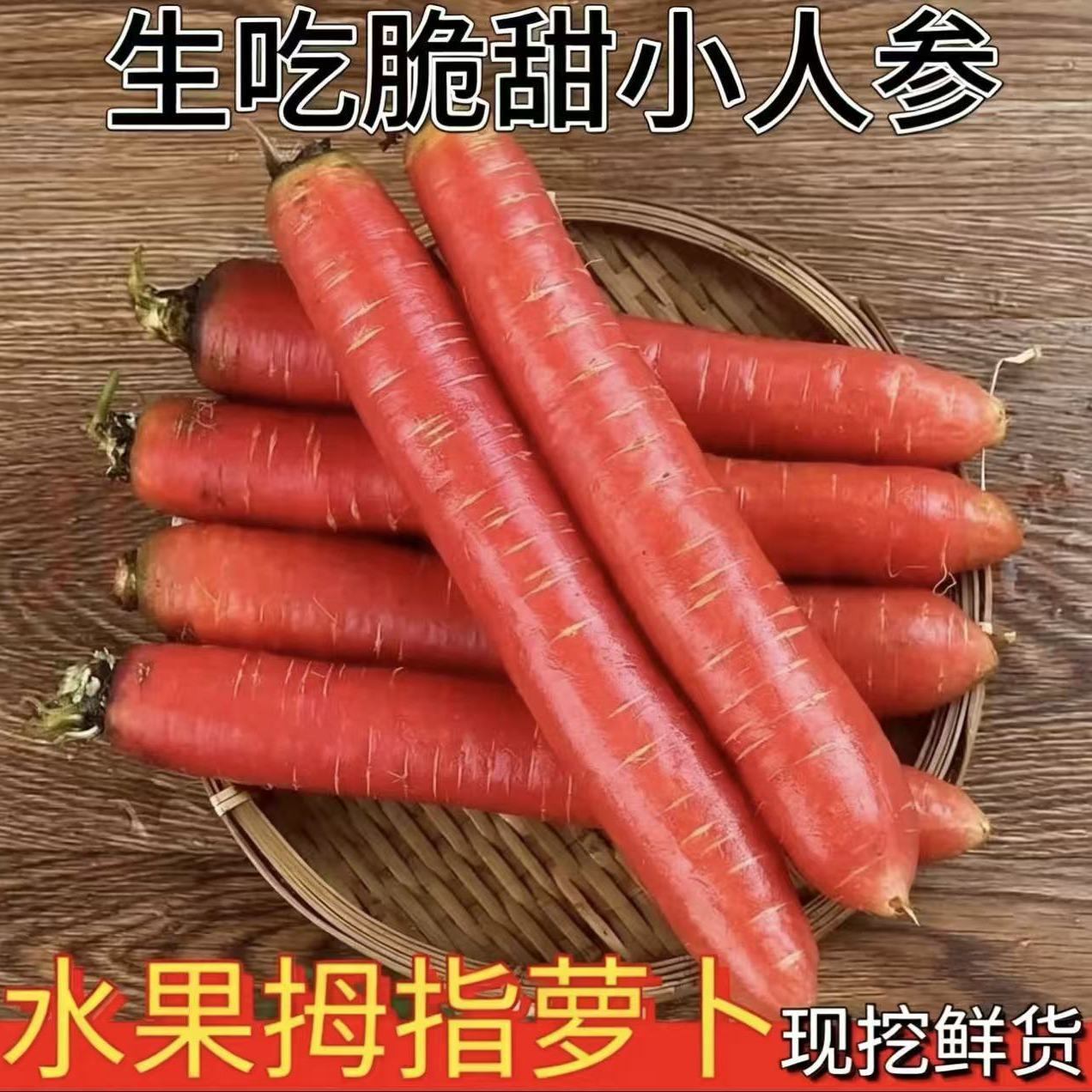 【生吃拇指萝卜】陕西拇指水果红萝卜农家新鲜蔬菜现挖红心脆甜