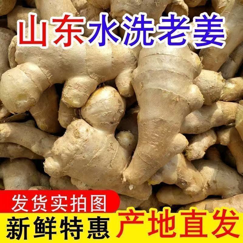 批发特惠5斤装饭店大排档家用山东大姜块水洗风干黄姜块省事好切