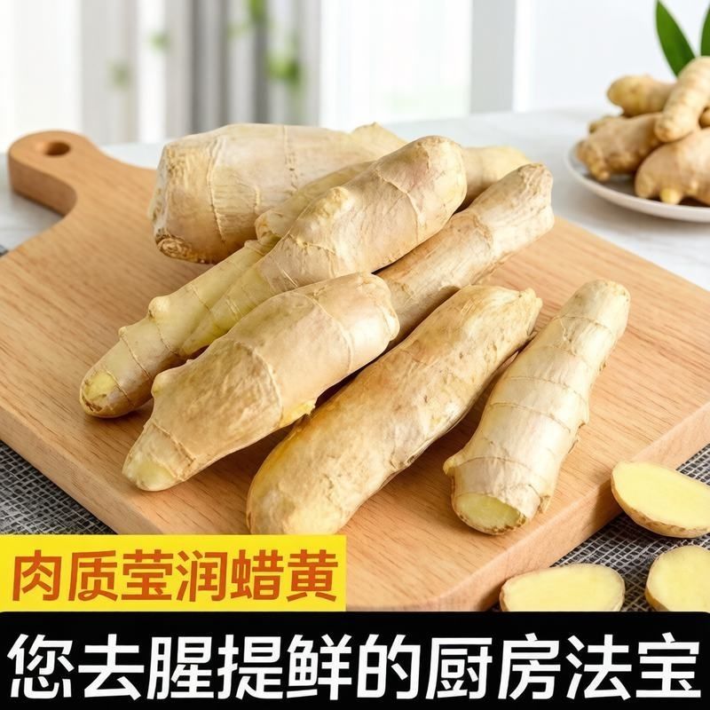 【山东大姜】单指干净姜优质生姜老黄姜便宜批发无流熏姜味十足