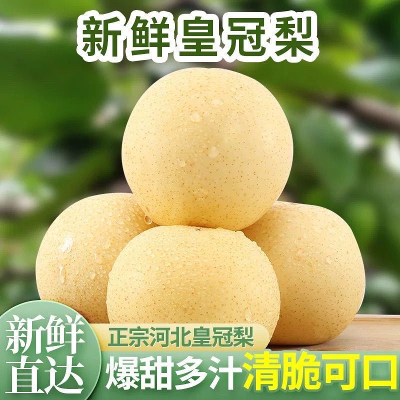 河北正宗皇冠梨整箱批发包邮新鲜梨子应季水果脆甜多汁非雪梨鸭梨