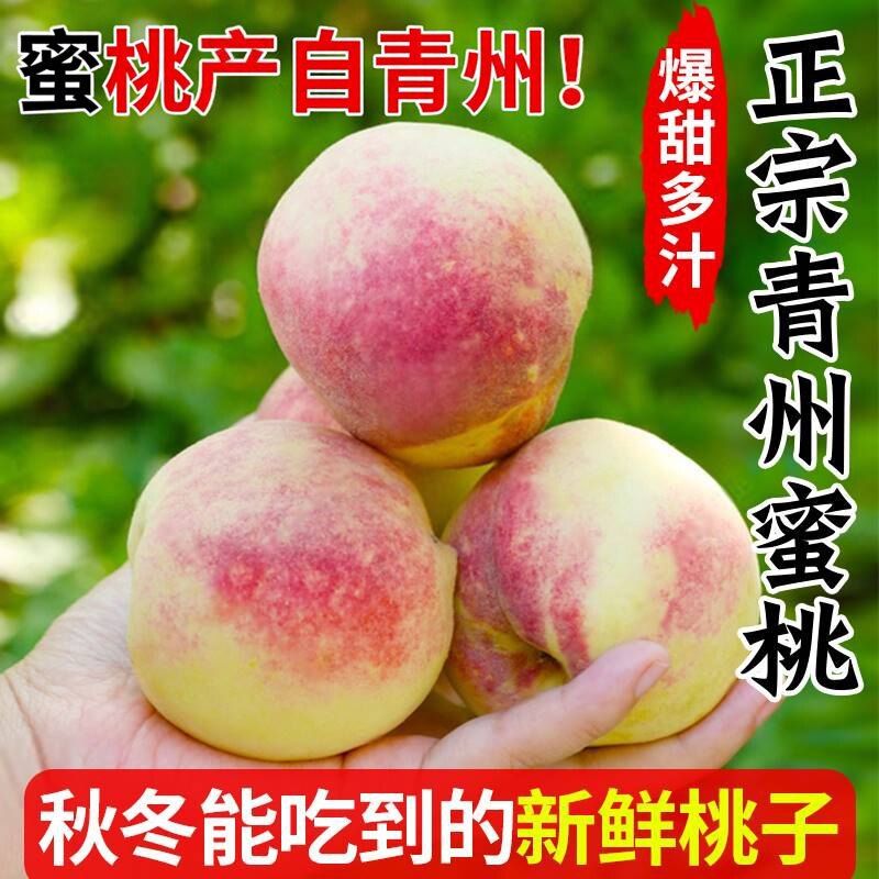 正宗青州蜜桃山东水蜜桃新鲜时令水果软硬整箱小脆桃甜桃当季现摘