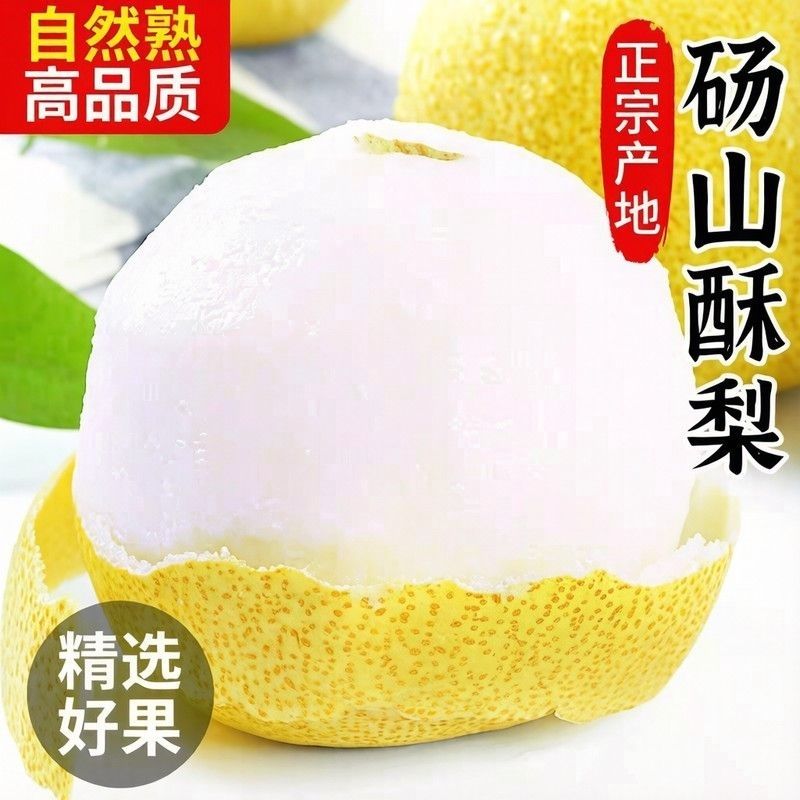 梨子新鲜水果砀山梨酥梨烤梨斤整箱百年老树大梨子现摘非皇冠青梨