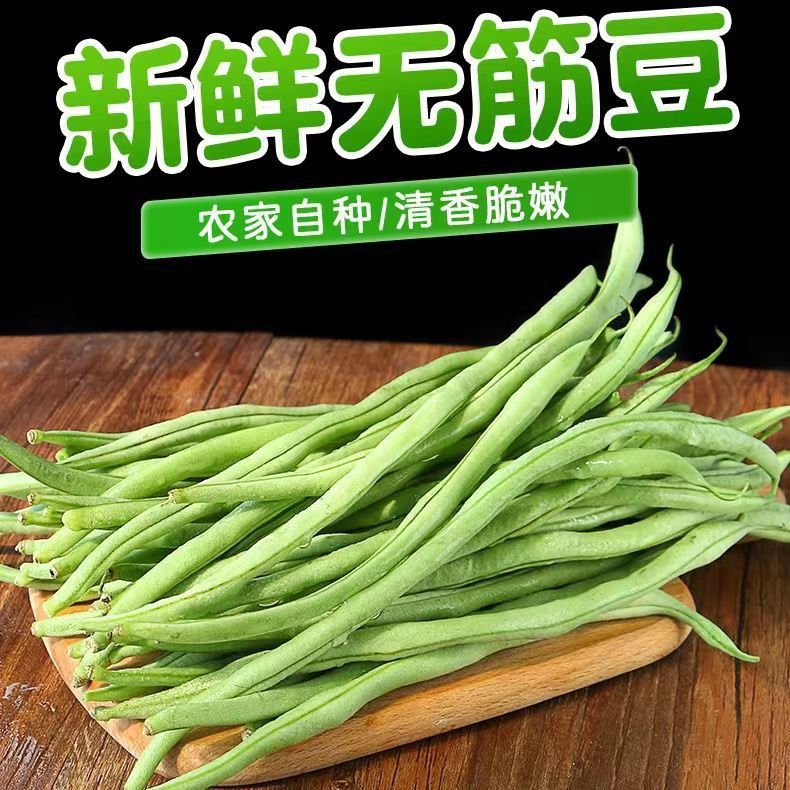 【无筋豆无丝豆架豆王】云南新鲜蔬菜无筋豆高原无丝豆现摘无筋豆