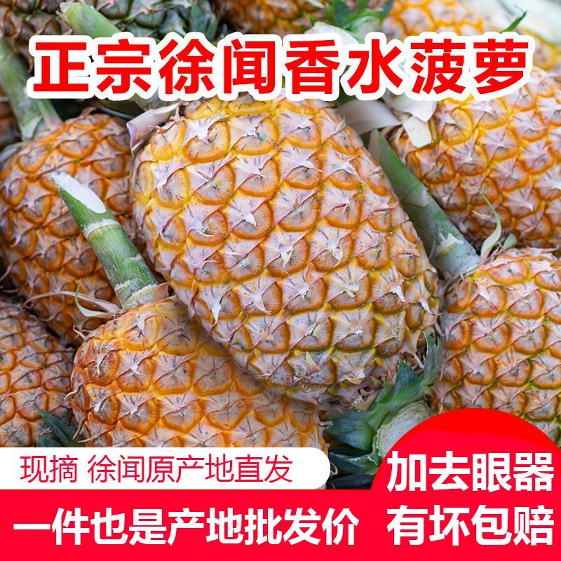 【树熟果】正宗徐闻香水大菠萝非凤梨应季新鲜超脆甜水果整箱批发