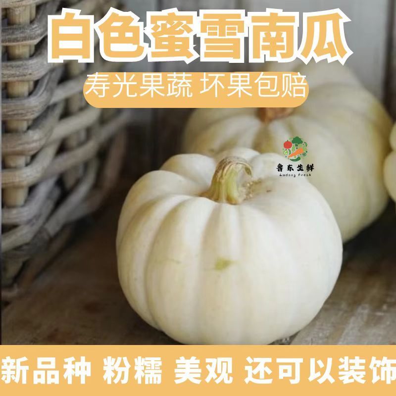 寿光现摘白贝贝南瓜农家自然熟迷你小白南瓜辅食代餐蜜雪贝贝南瓜