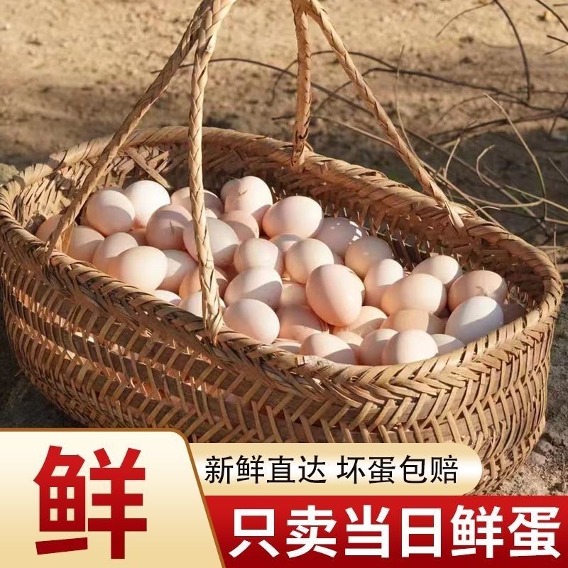正宗谷物蛋鸡蛋40克以上农家新鲜鸡蛋初生便宜整箱批发学生