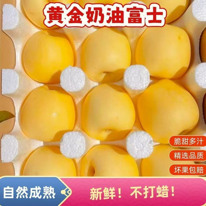 正宗黄金奶油富士苹果脆甜苹果新鲜冰糖当季应季整箱批发酸甜苹果