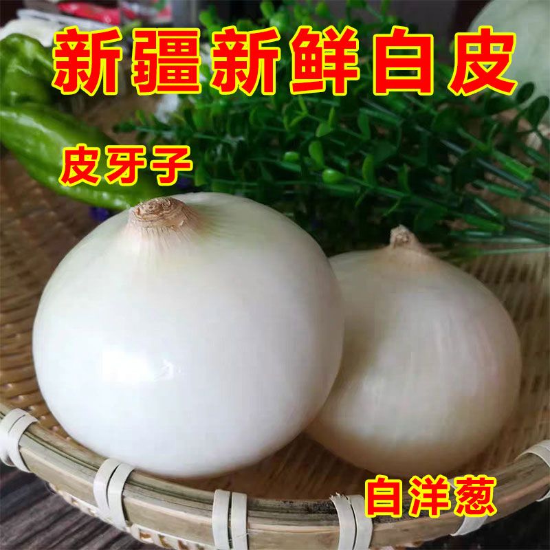 新疆白洋葱商用白皮牙子有机新鲜脆嫩生吃不辣现发正宗新疆皮牙子