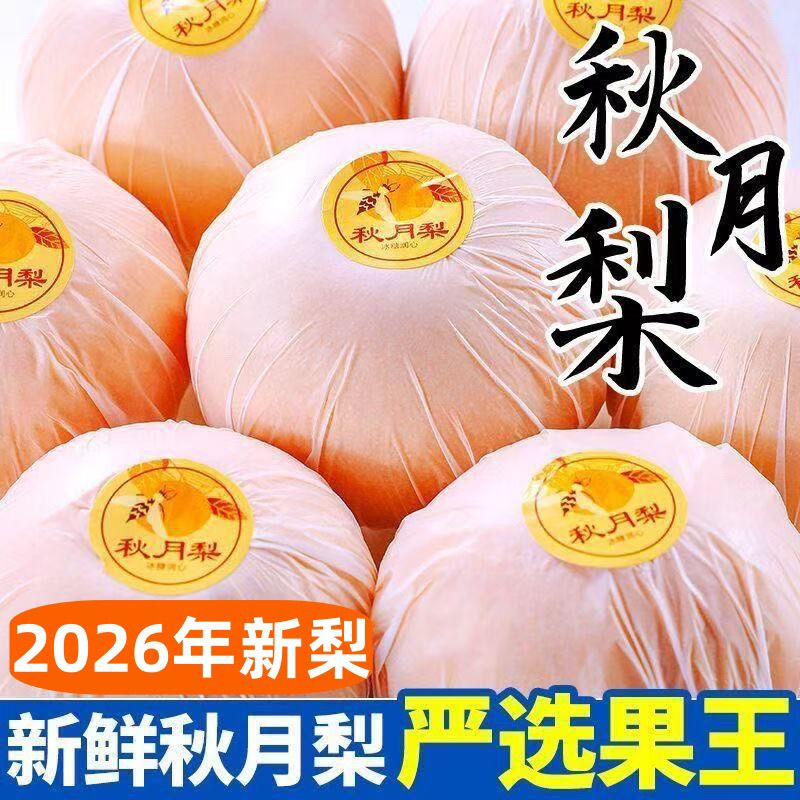 正宗山东秋月梨莱阳秋月梨礼盒脆甜大果产地直发应季新鲜水果包邮