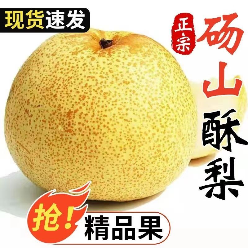 【批发价】正宗安徽砀山梨百年梨树当季新鲜现摘梨子皮薄批发包邮