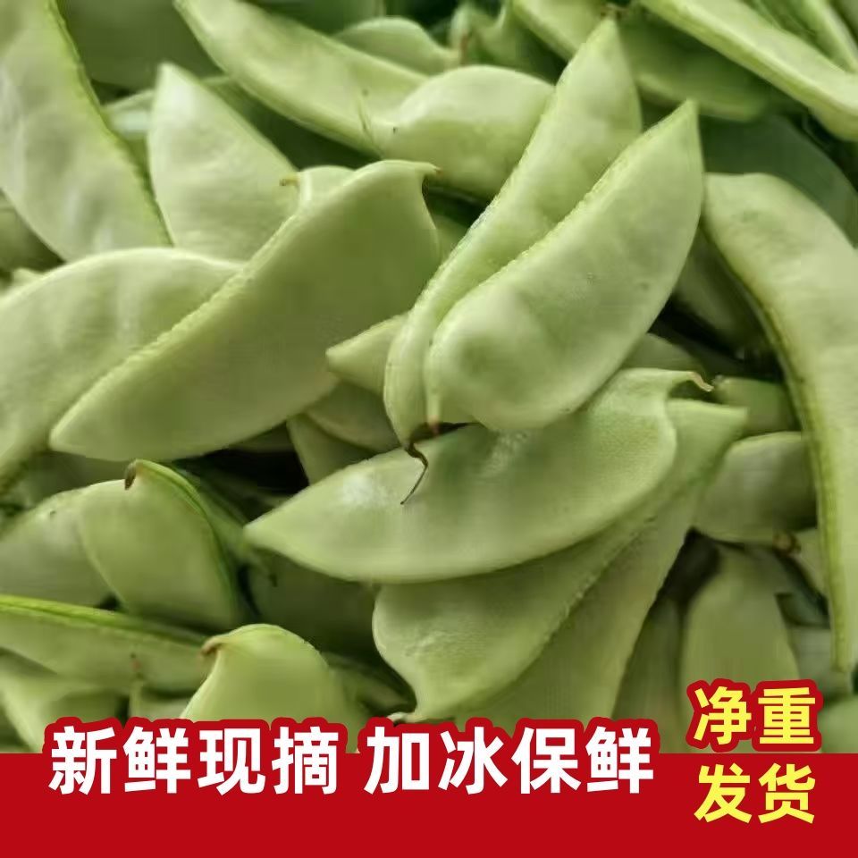 新鲜扁豆角正宗扁豆白扁豆峨眉豆猪耳朵豆农家新鲜当季蔬菜