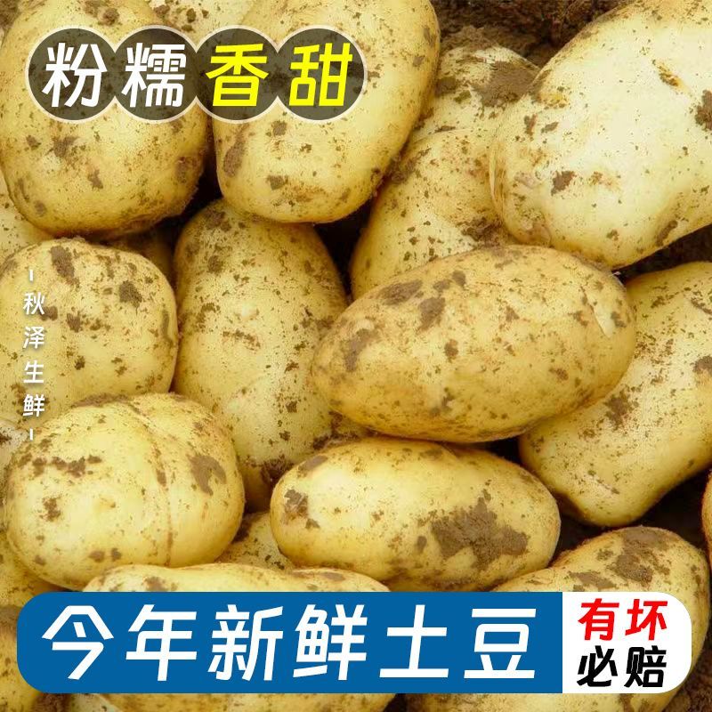 新货】黄皮土豆云南新鲜现挖马铃薯洋芋当季蔬菜正宗整箱批发芋头